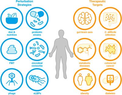 Microbiome engineering: engineered live biotherapeutic products for treating human disease